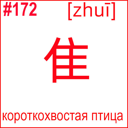 隹 (zhuī)