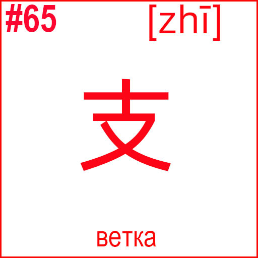 支 (zhī)