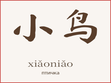小鸟 (xiǎoniǎo)