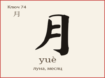 月 (yuè) — луна, месяц