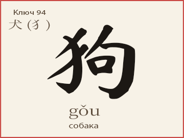 Иероглиф 狗 (gǒu) — собака